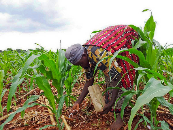 Number of farm holders with increased productivity and/or income | 