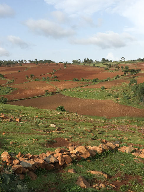 Number of hectares of farmland that became part of improved natural resource (landscape/watershed) management | 