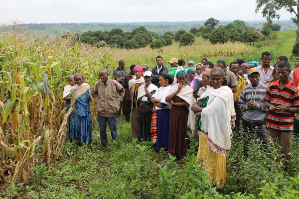 Average yields of maize per m³ water consumed in six partner countries | 